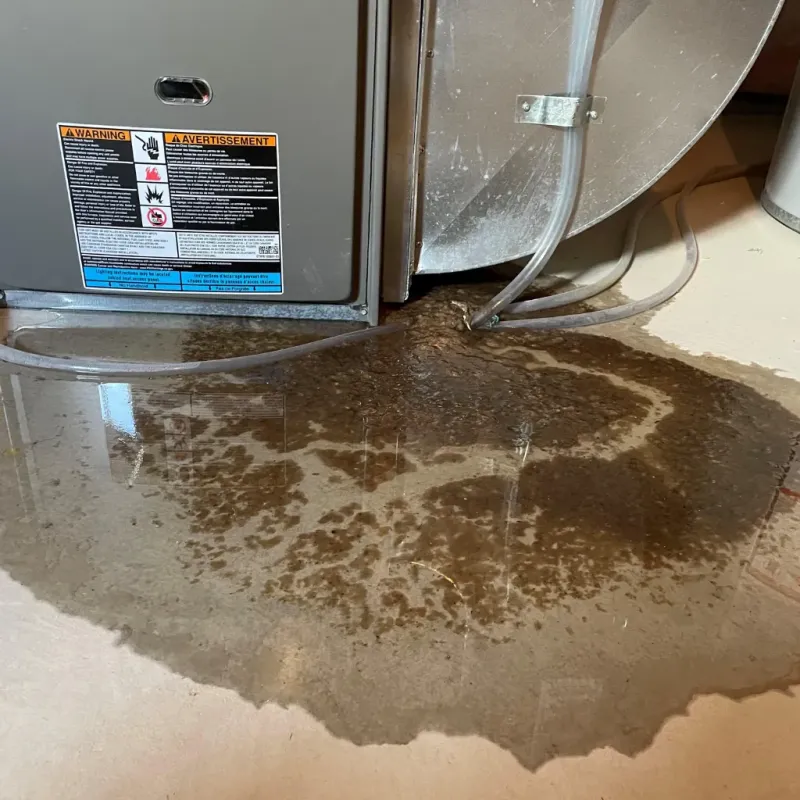 Appliance Leak Cleanup in Salcha, AK